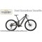 Electric Mountain Bike